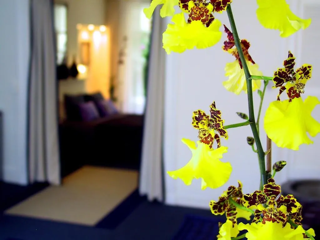 Bed & Breakfast Palace B&B Amsterdam Netherlands